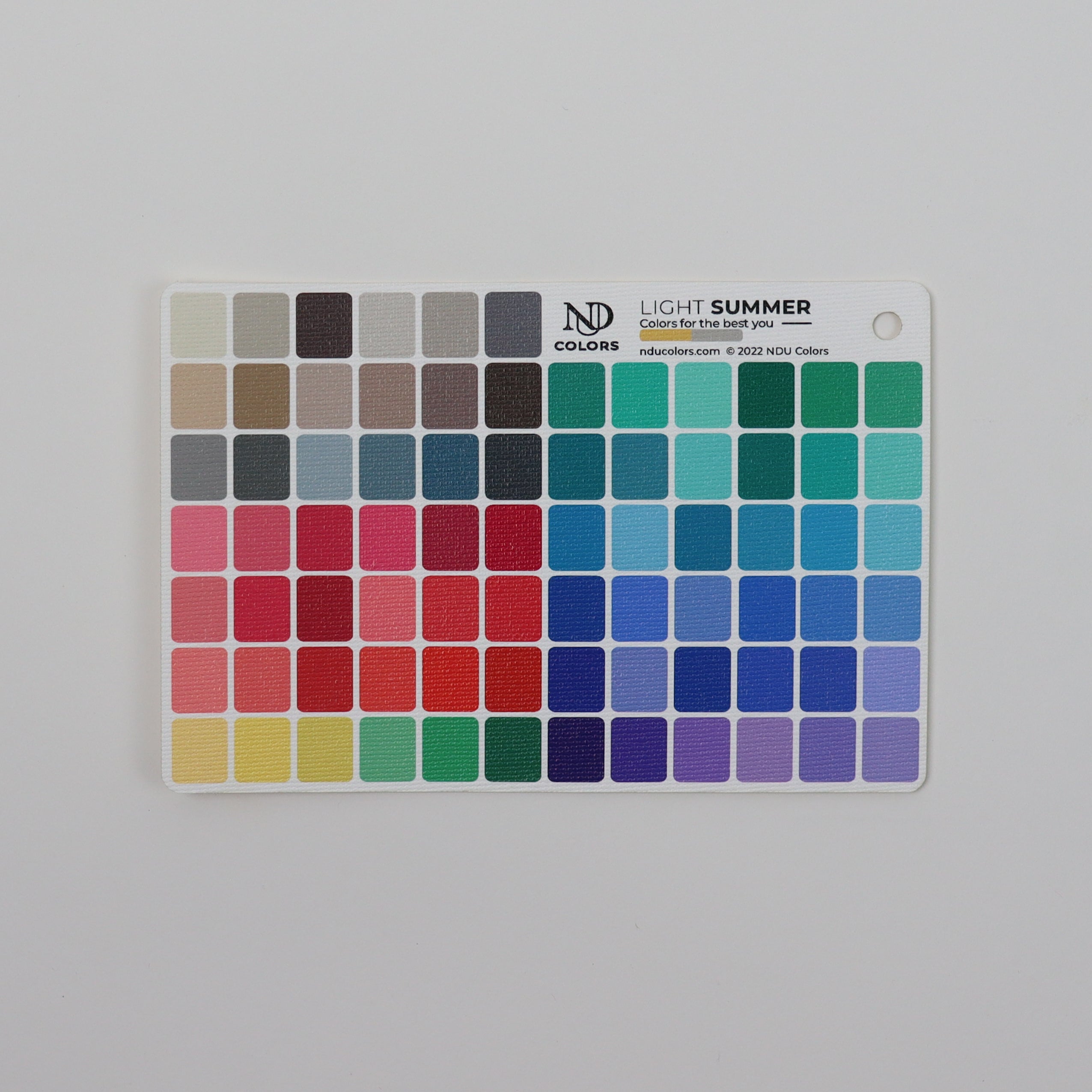 Light Spring Mini Poster NDU Colors