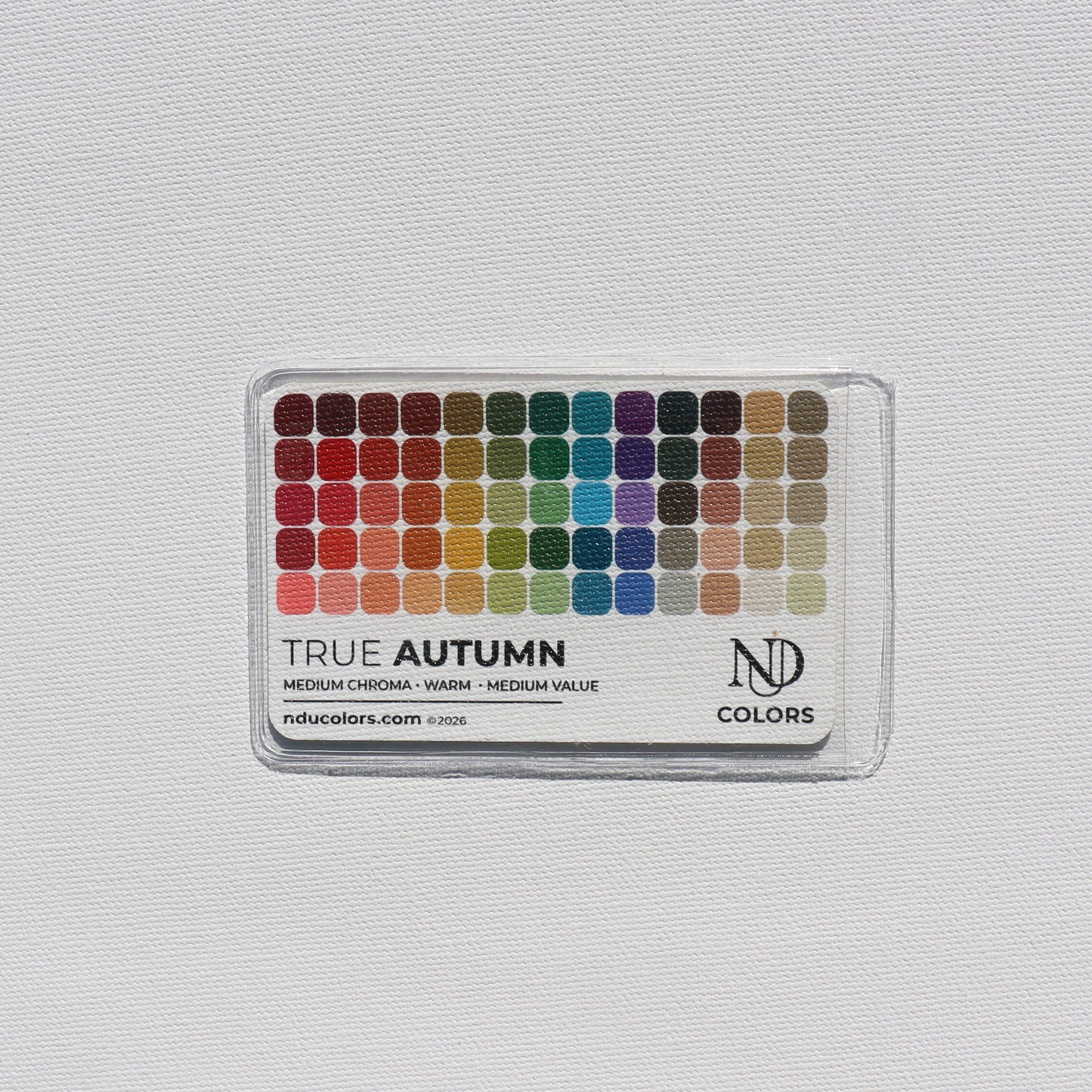 Color Cards with Vinyl Sleeve