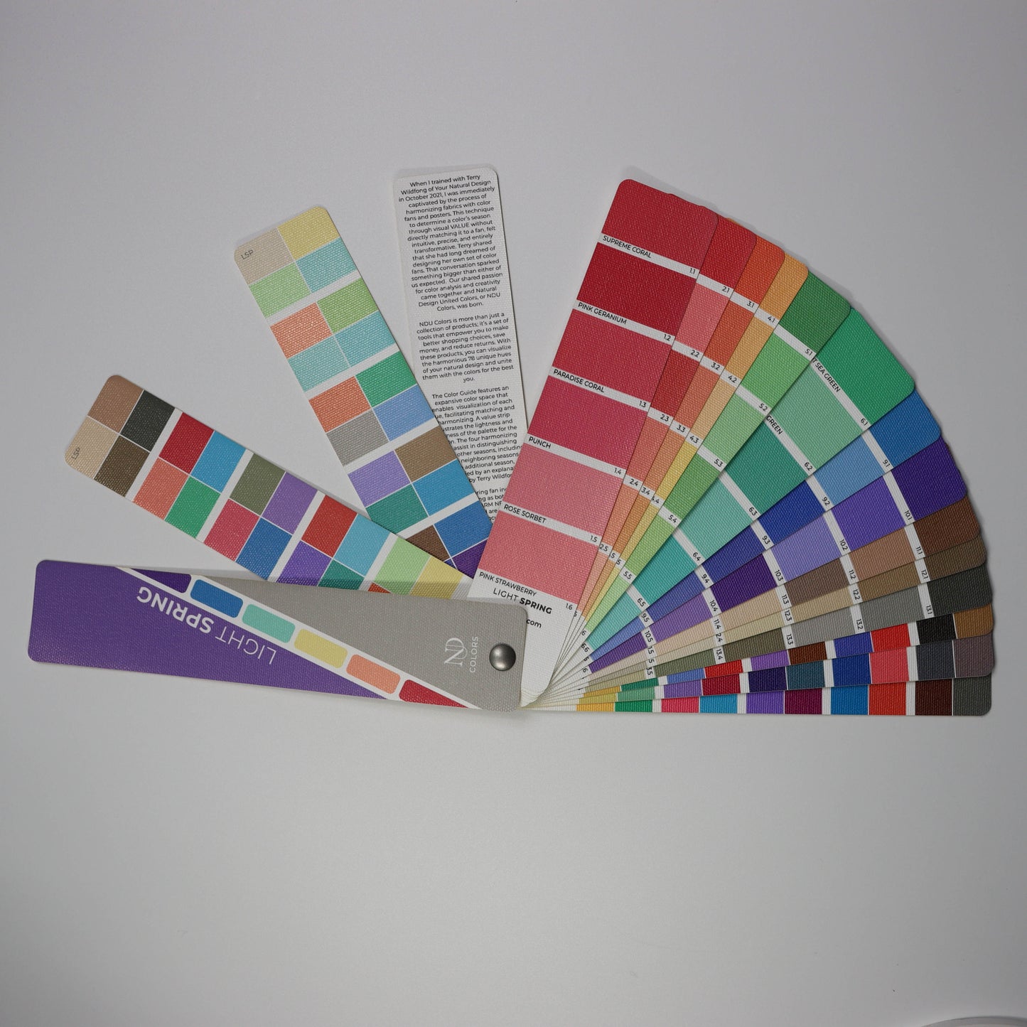 Bright Spring Artisan Line COLOR GUIDE