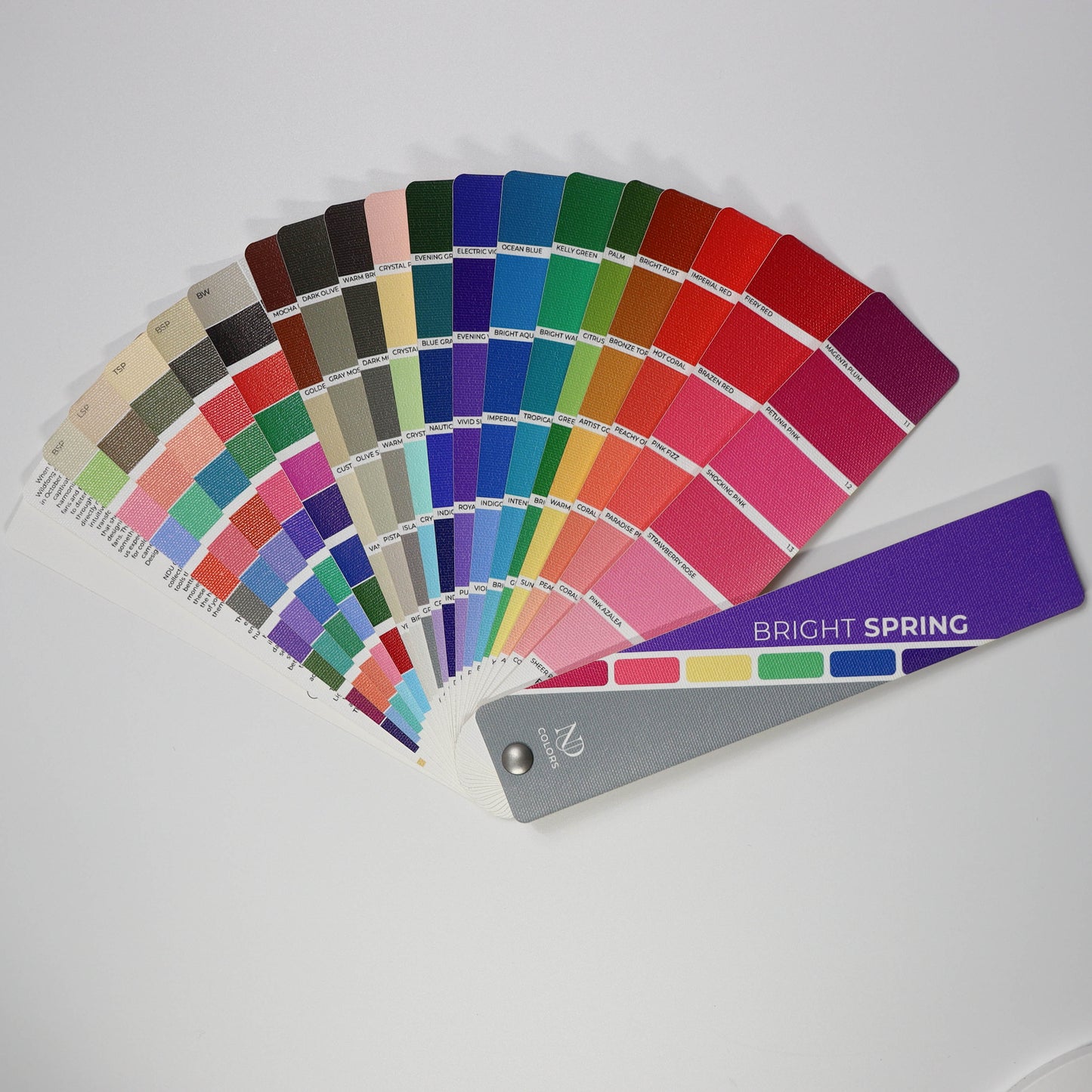 Bright Spring Artisan Line COLOR GUIDE