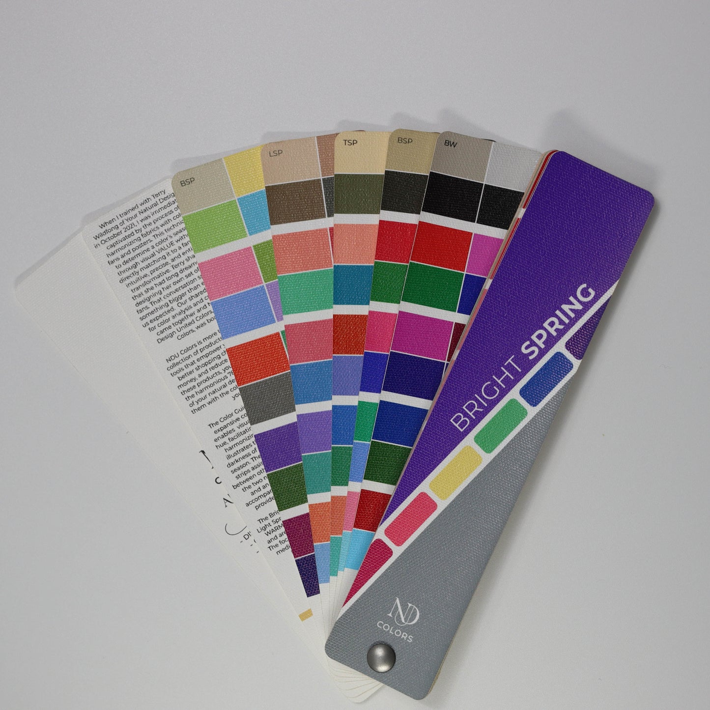 Bright Spring Artisan Line COLOR GUIDE