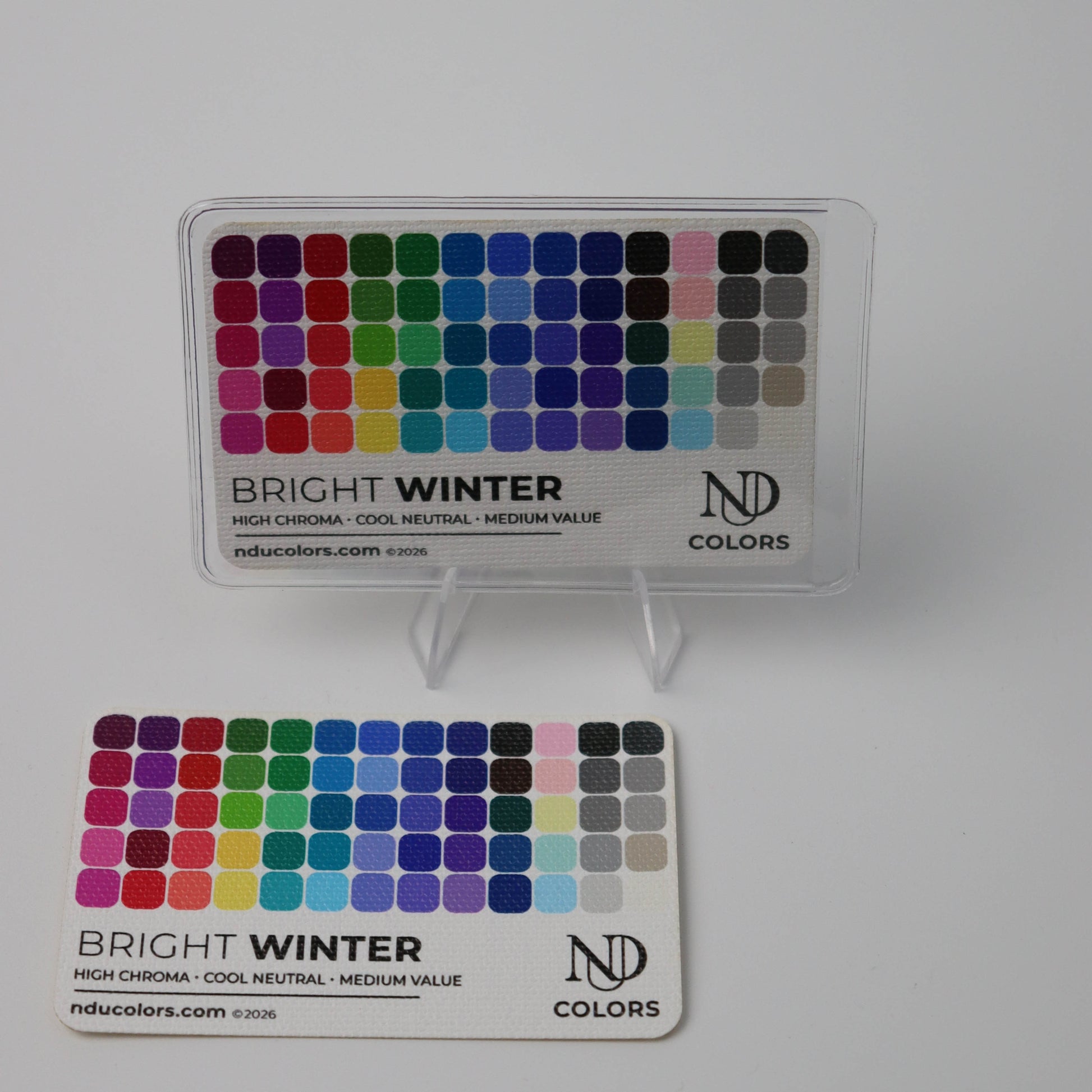 bright Winter Color Card on white background with vinyl sleeve
