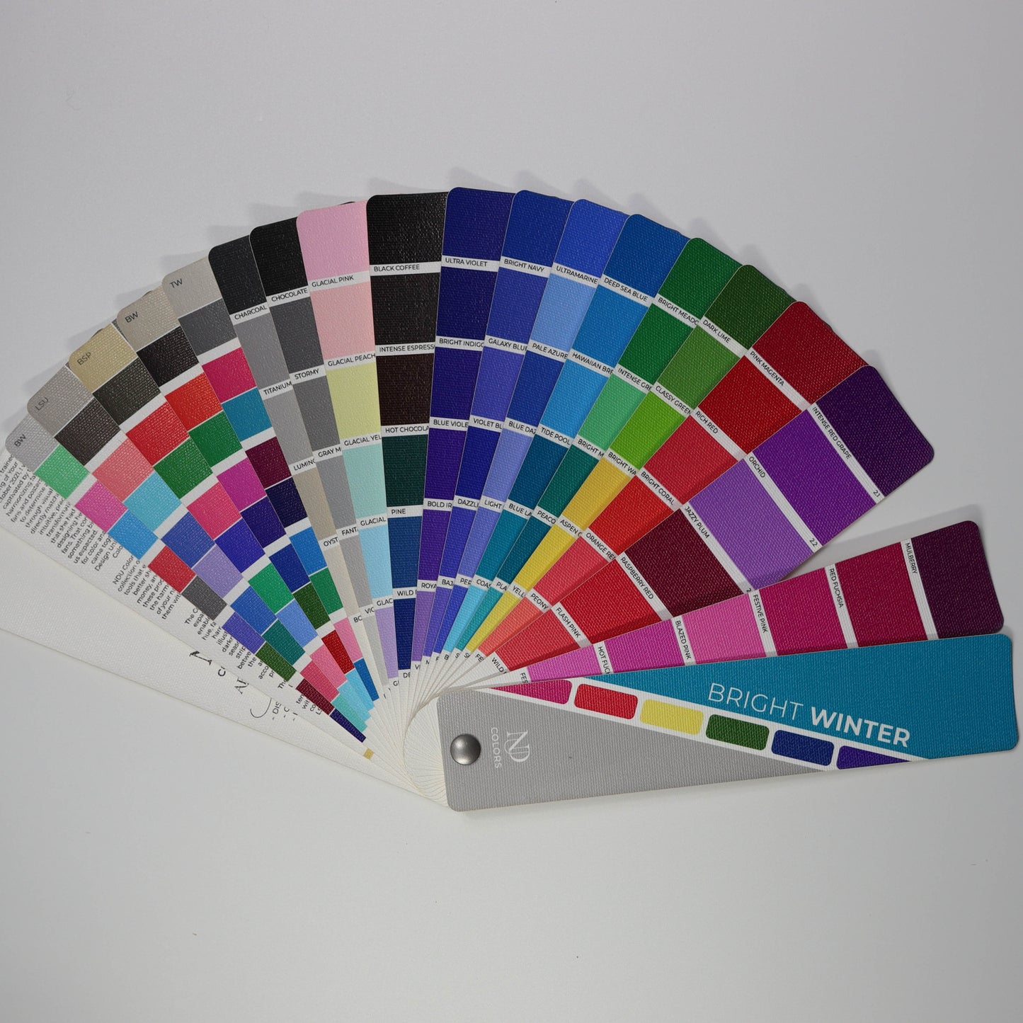 Bright Winter Artisan Line COLOR GUIDE