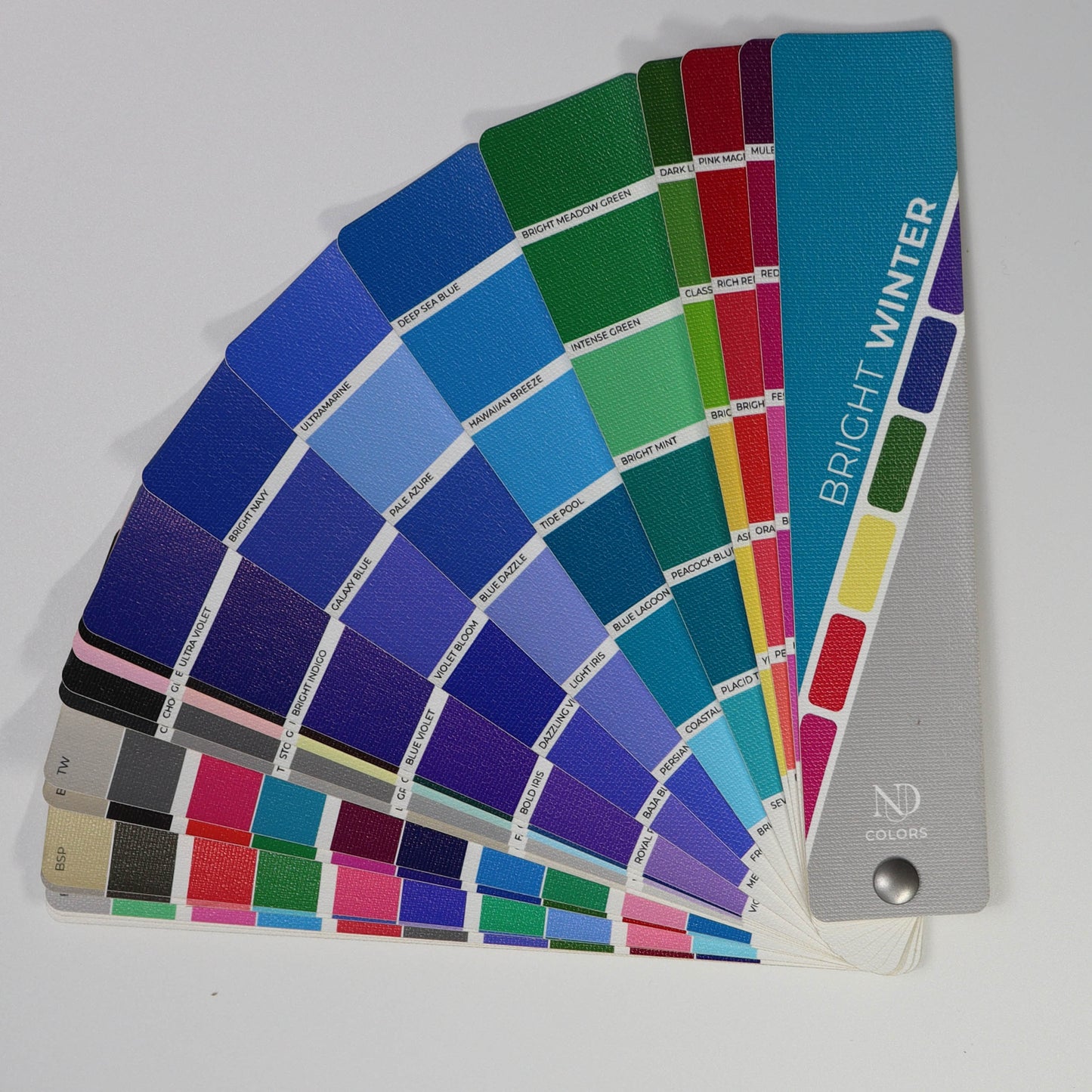 Bright Winter Artisan Line COLOR GUIDE