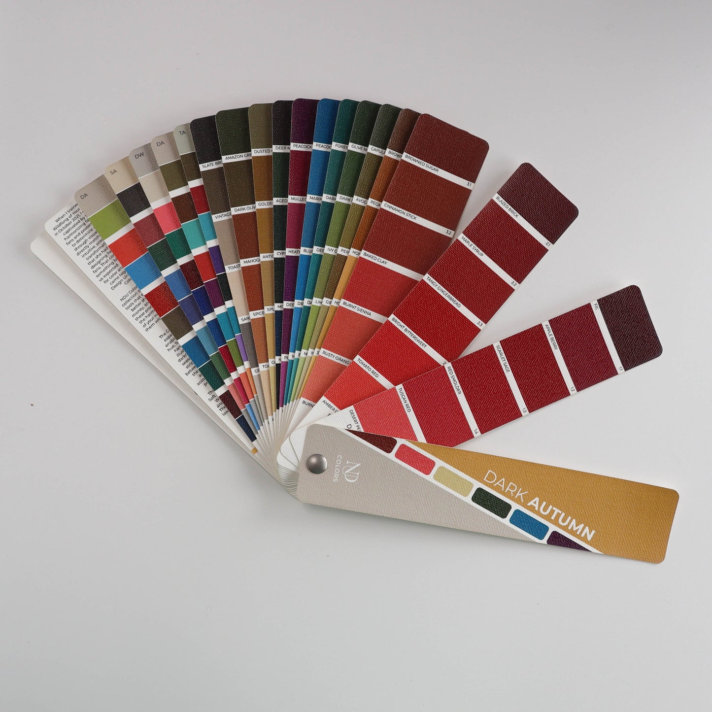 Dark Autumn Artisan Line COLOR GUIDE