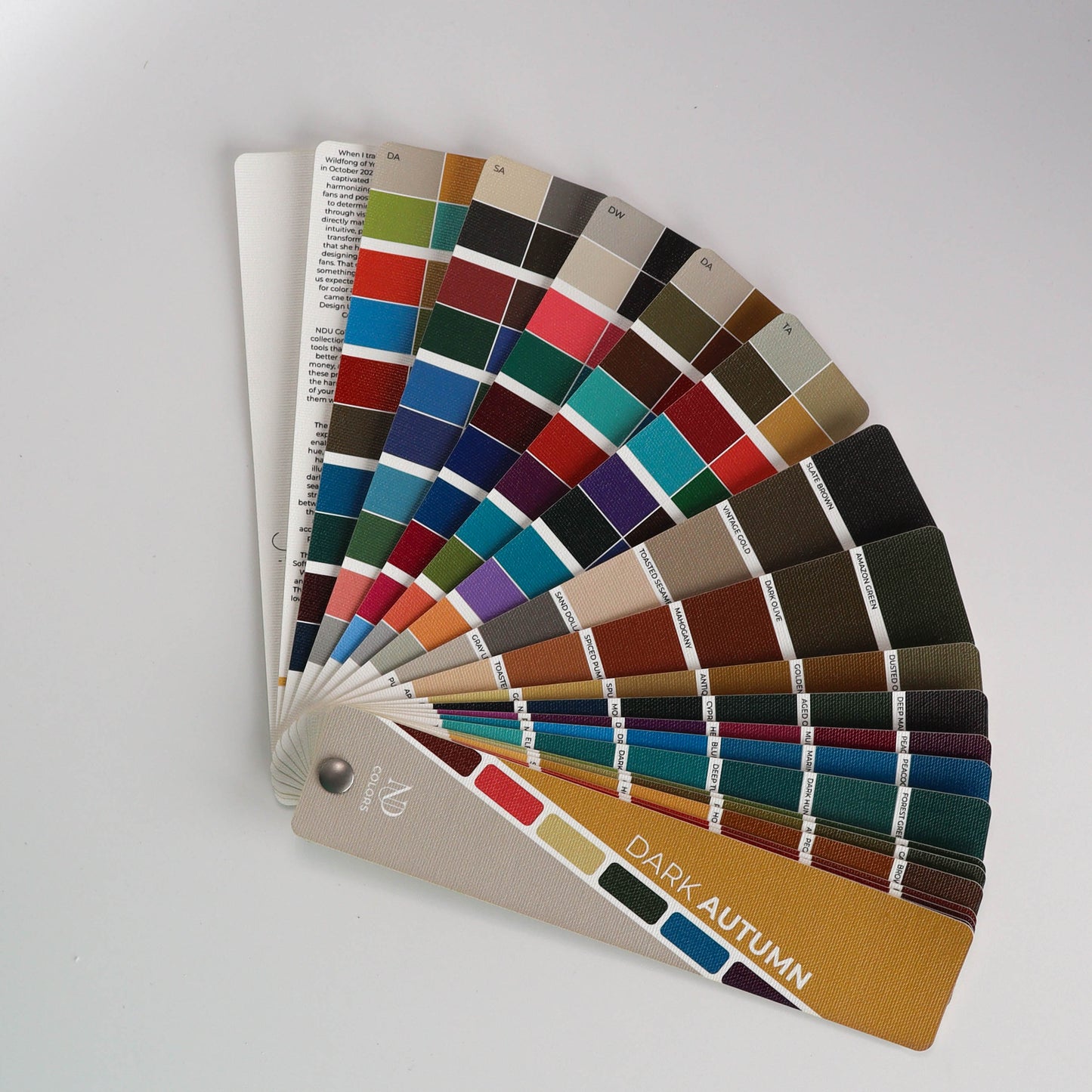 Dark Autumn Artisan Line COLOR GUIDE