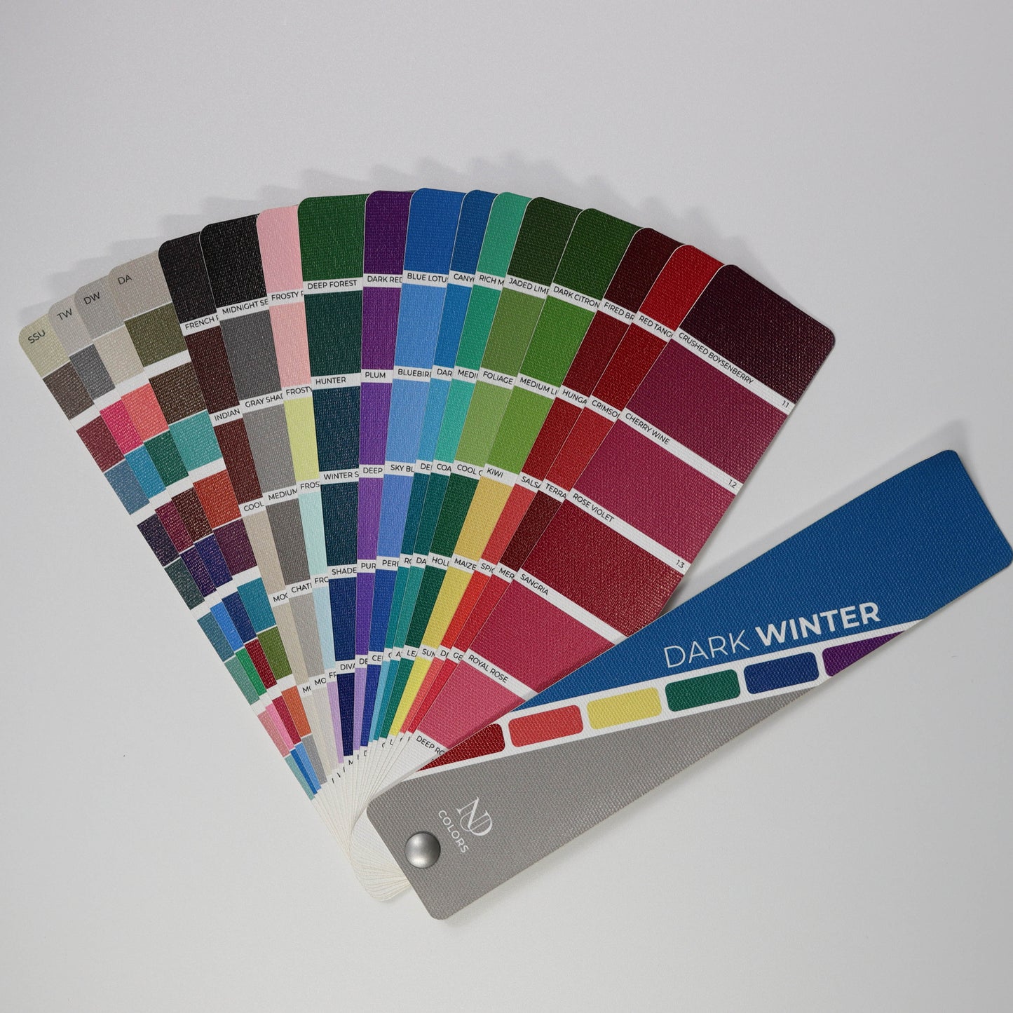 Dark Winter Artisan Line COLOR GUIDE