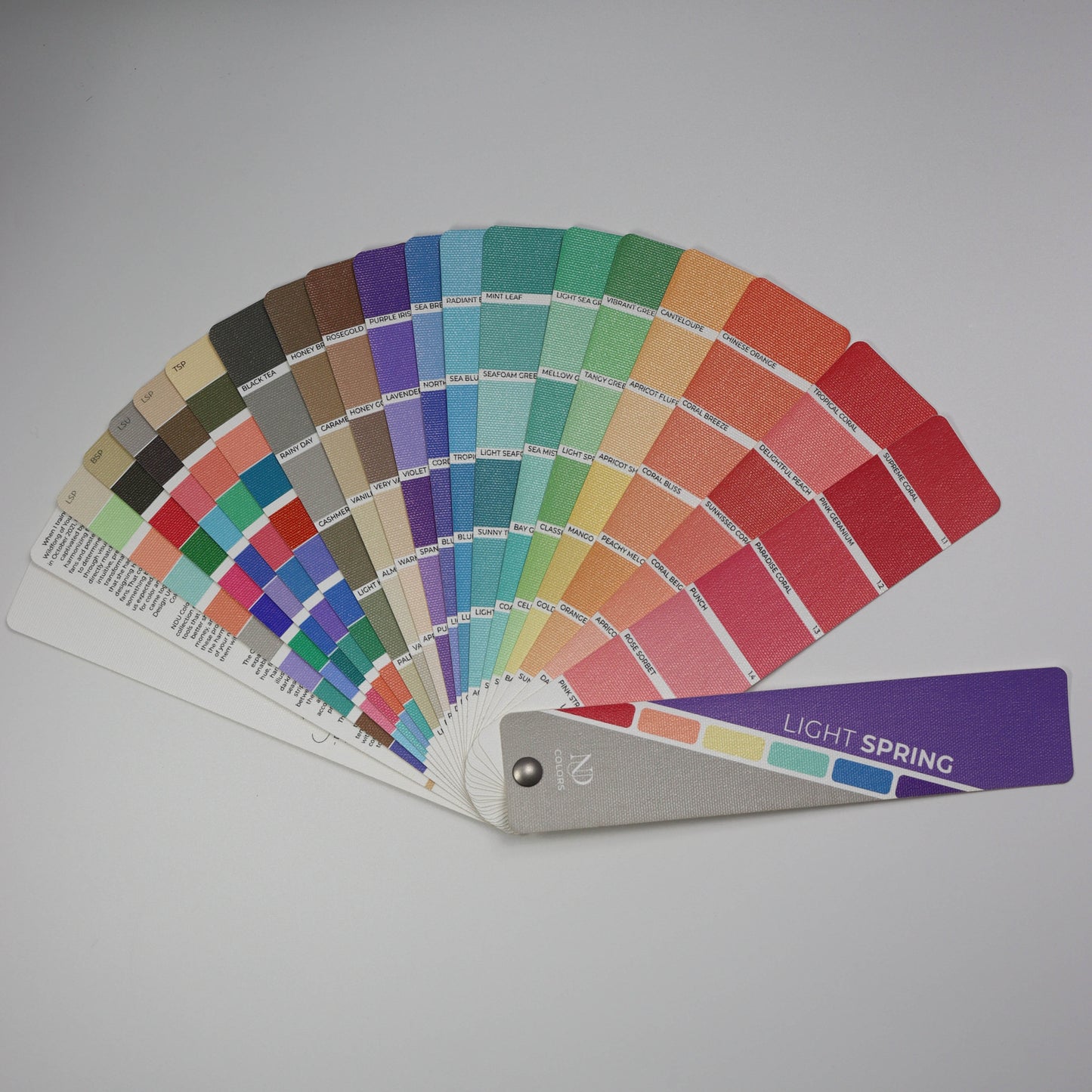 Light Spring Artisan Line COLOR GUIDE