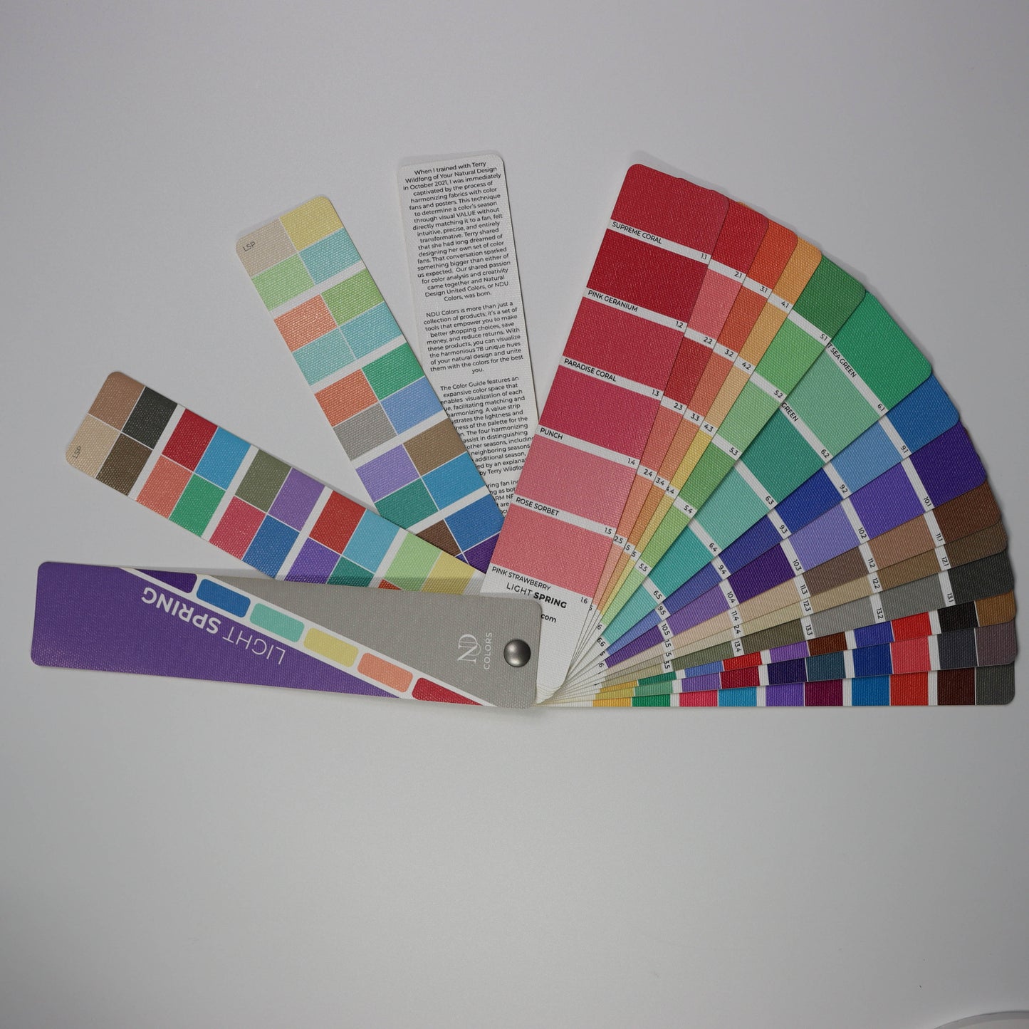 Light Spring Artisan Line COLOR GUIDE