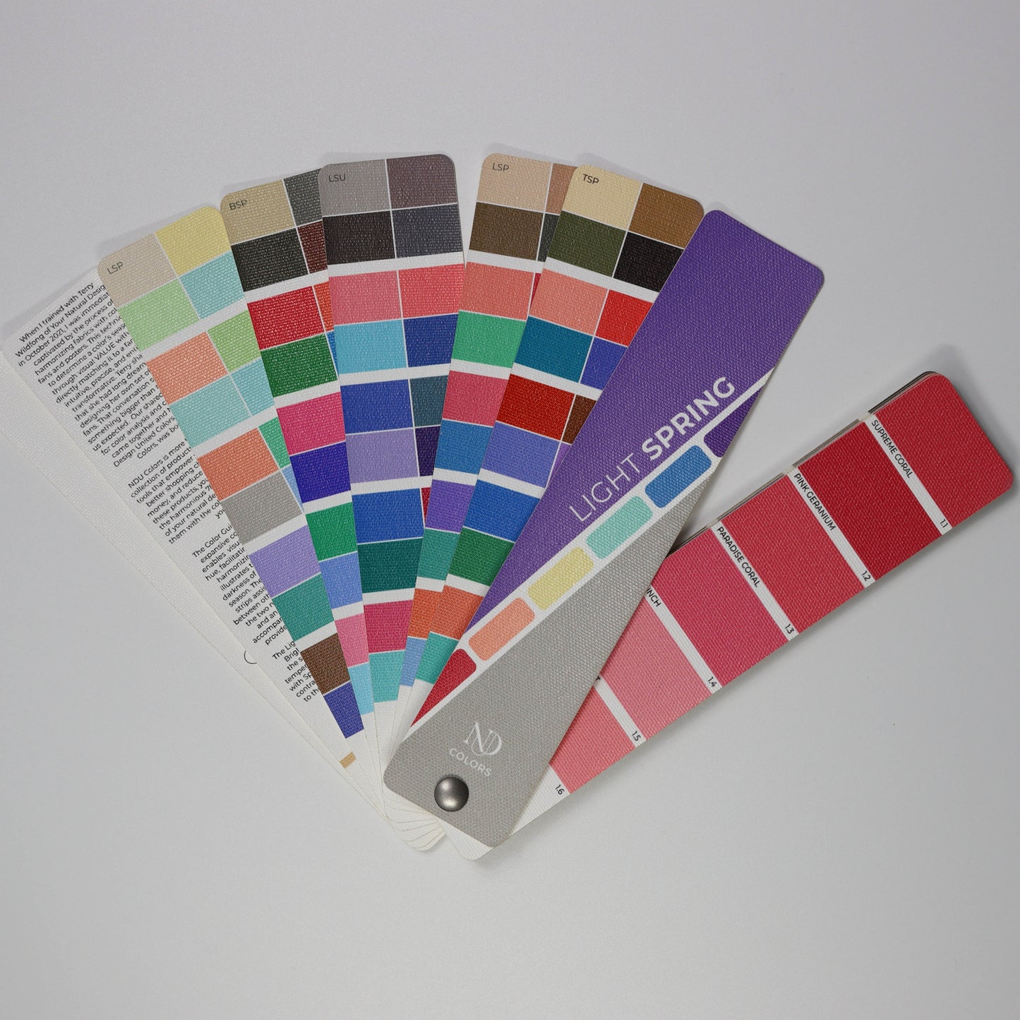 Light Spring Artisan Line COLOR GUIDE