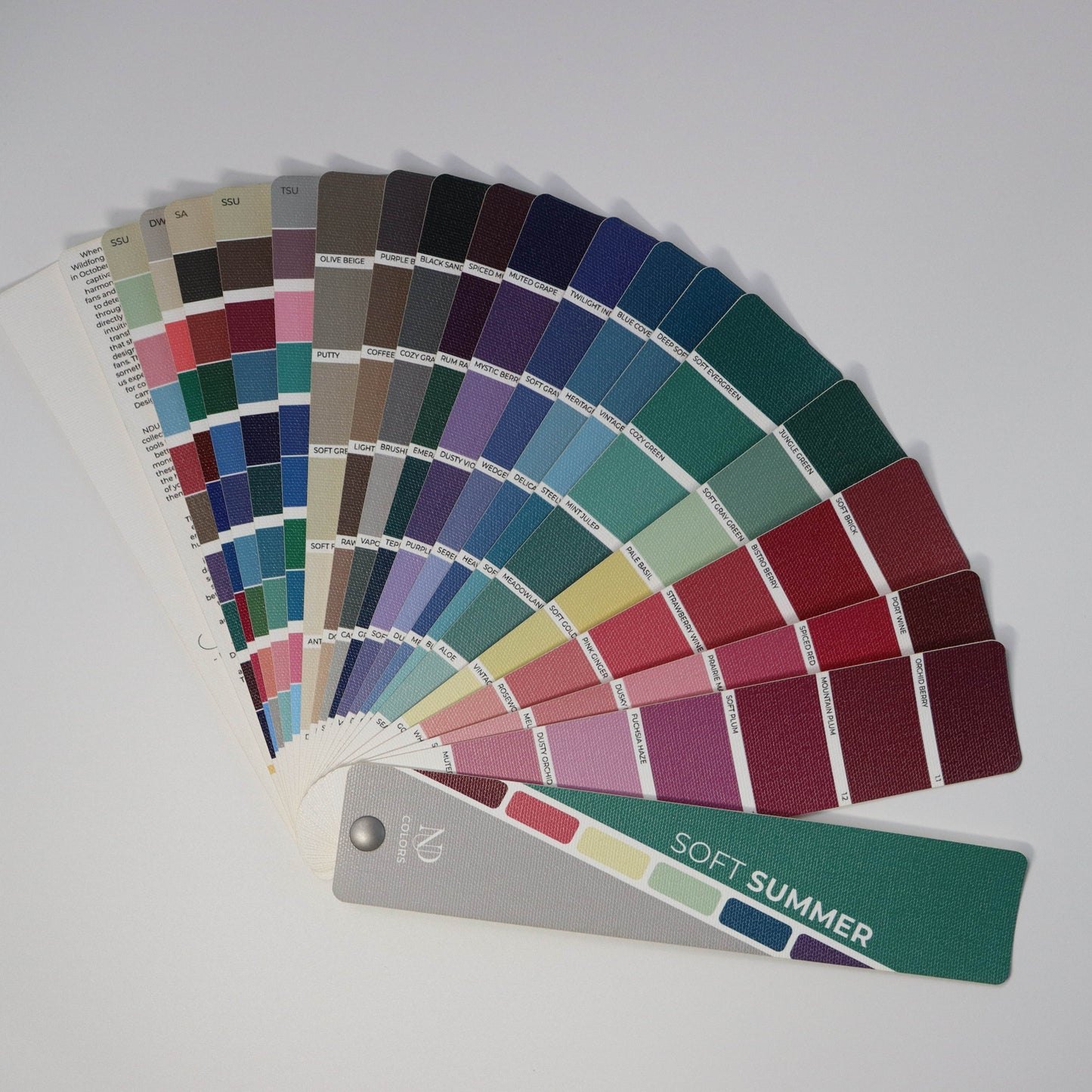Soft SummerArtisan Line COLOR GUIDE