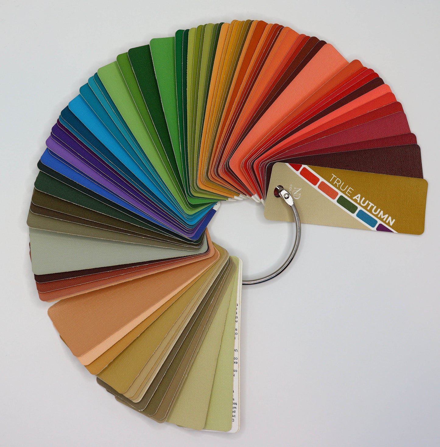 True Autumn Artisan Line COLOR DECK - Handcrafted for larger color space