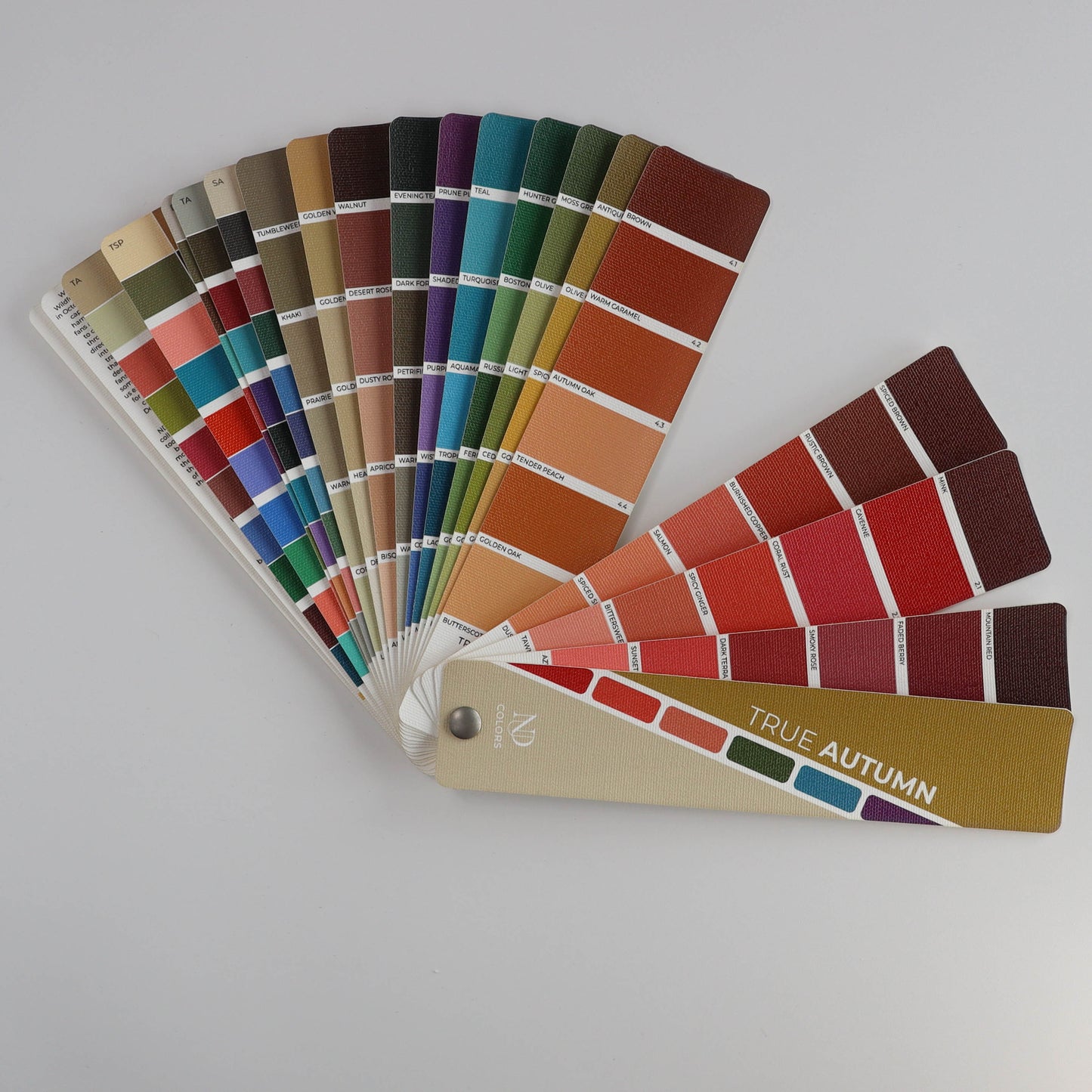 NDU Colors True Autumn Color Guide with 78 unique color names
