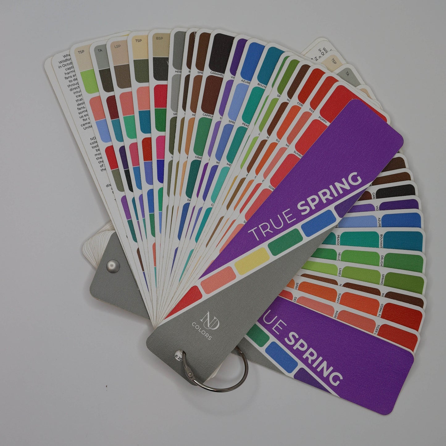 True Spring Artisan Line Collector's Edition - Handcrafted for larger color space