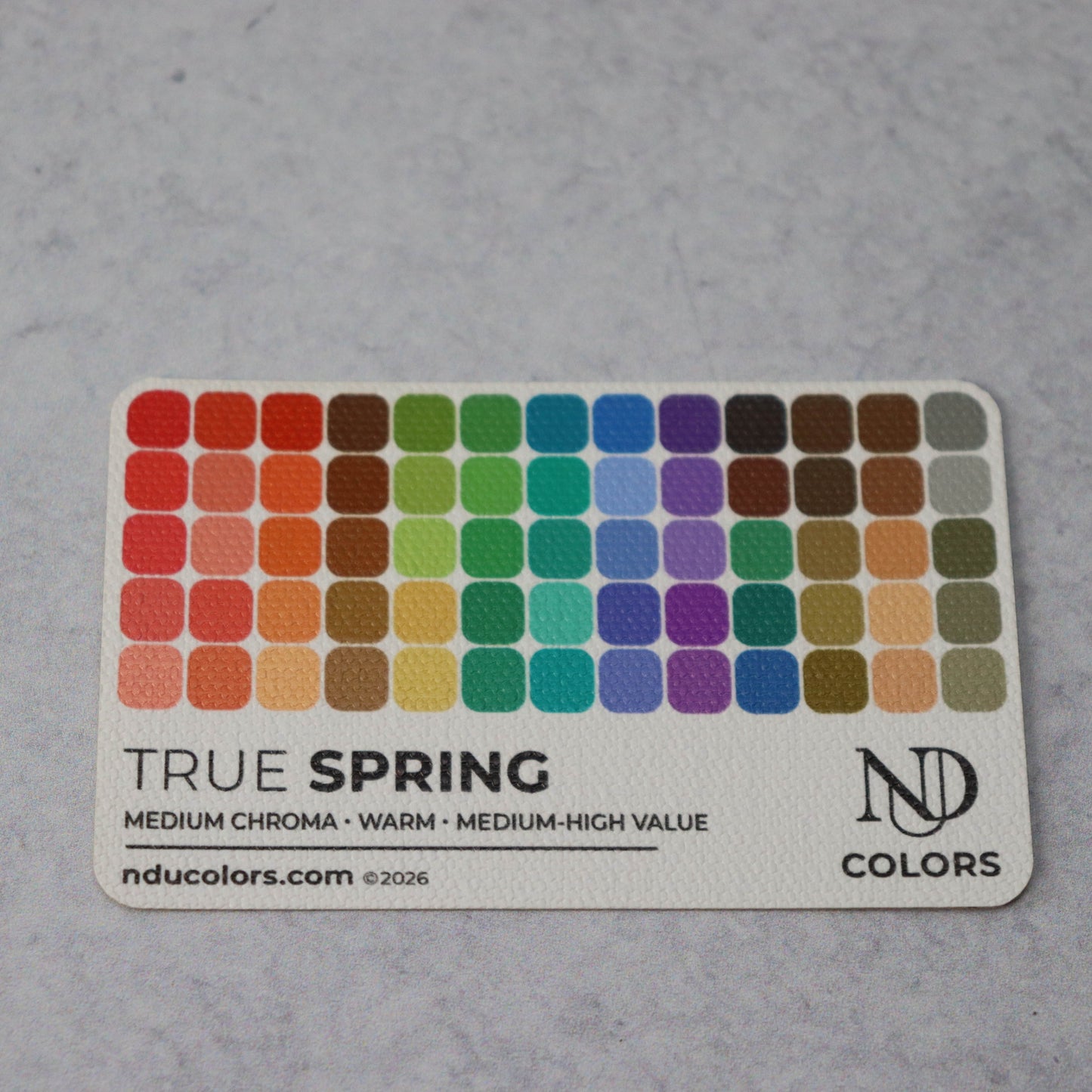 True Spring Color Card with vinyl sleeve