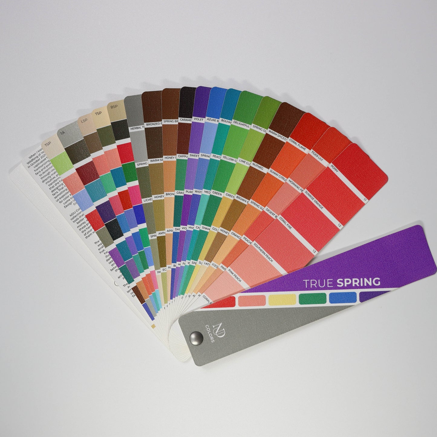 True Spring Artisan Line COLOR GUIDE