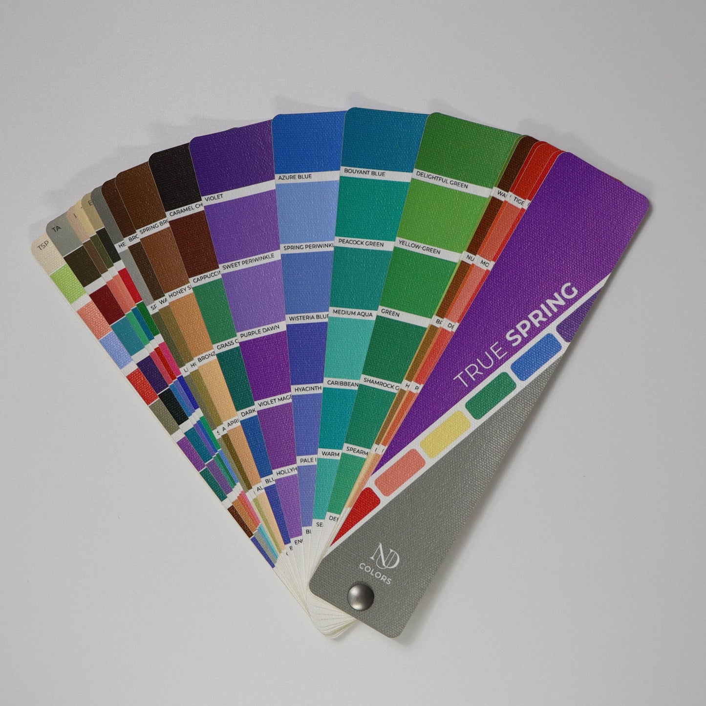 True Spring Artisan Line COLOR GUIDE