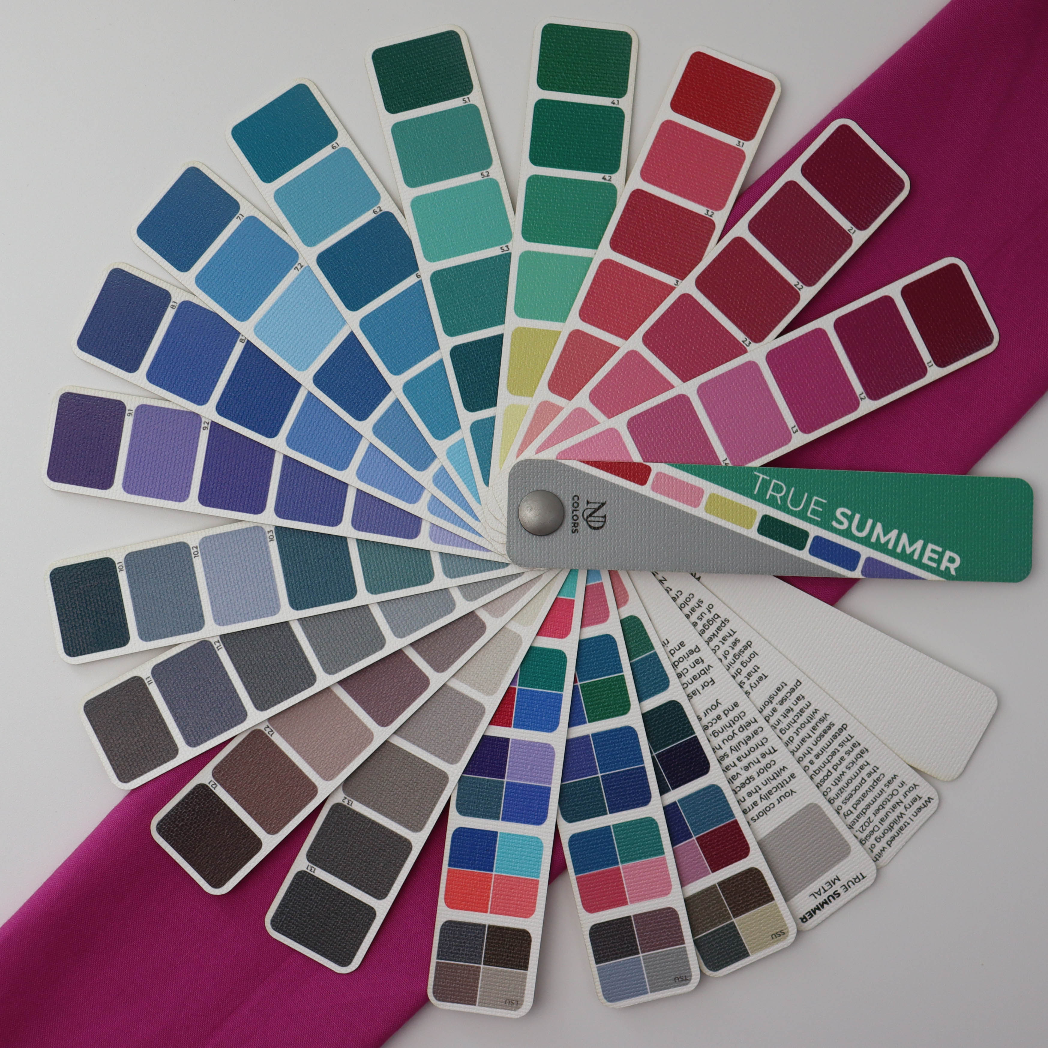 Mini Fan – NDU Colors