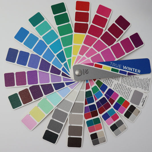 True Winter Mini Fan