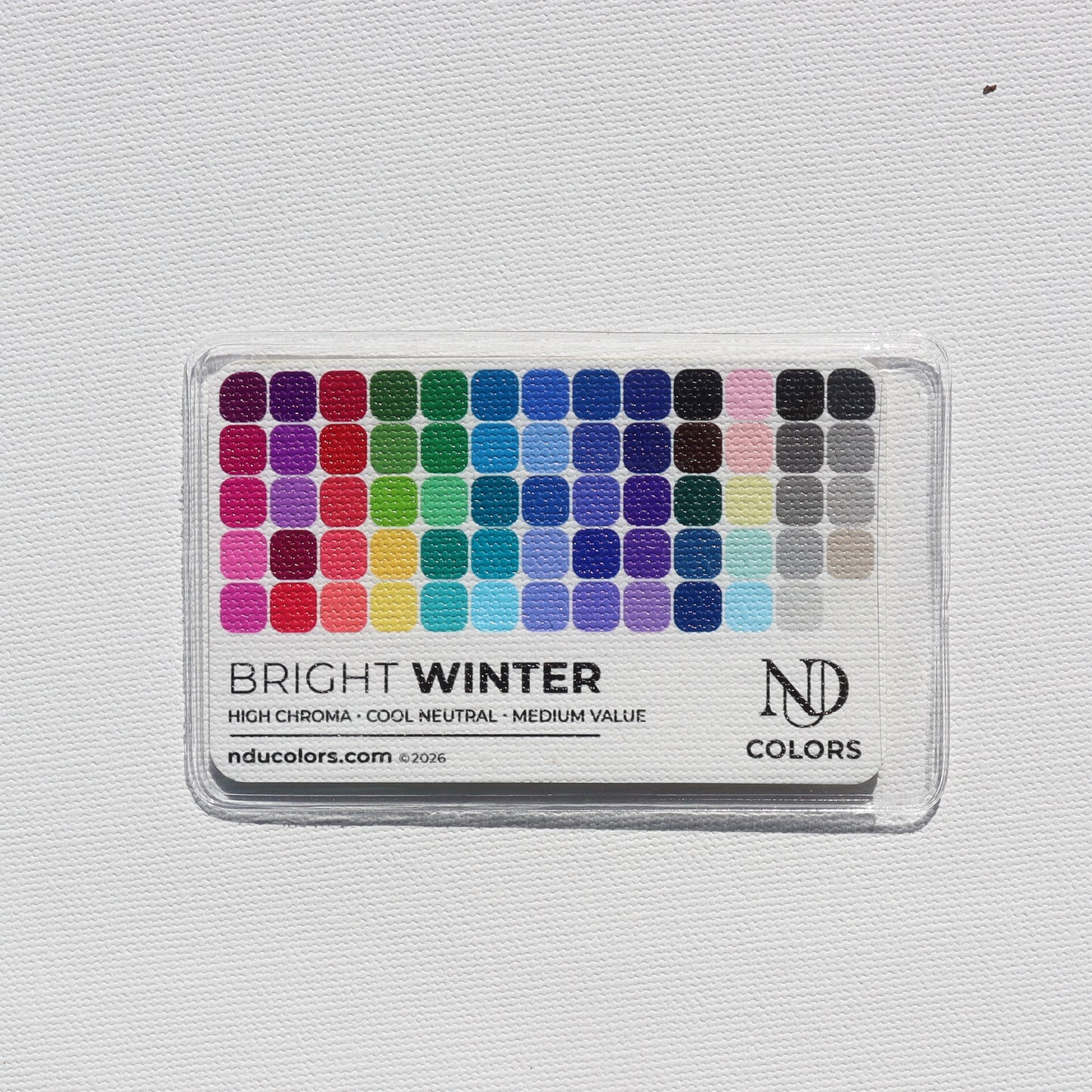 Bright Winter Color Card with vinyl sleeve