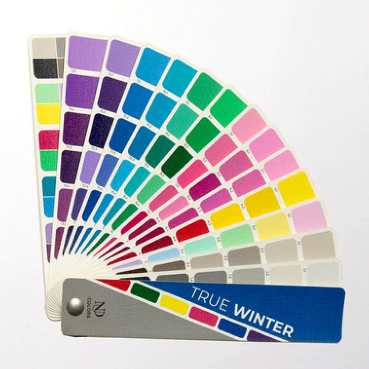 Mouse Color Fan True Winter Mini Fan – NDU Colors